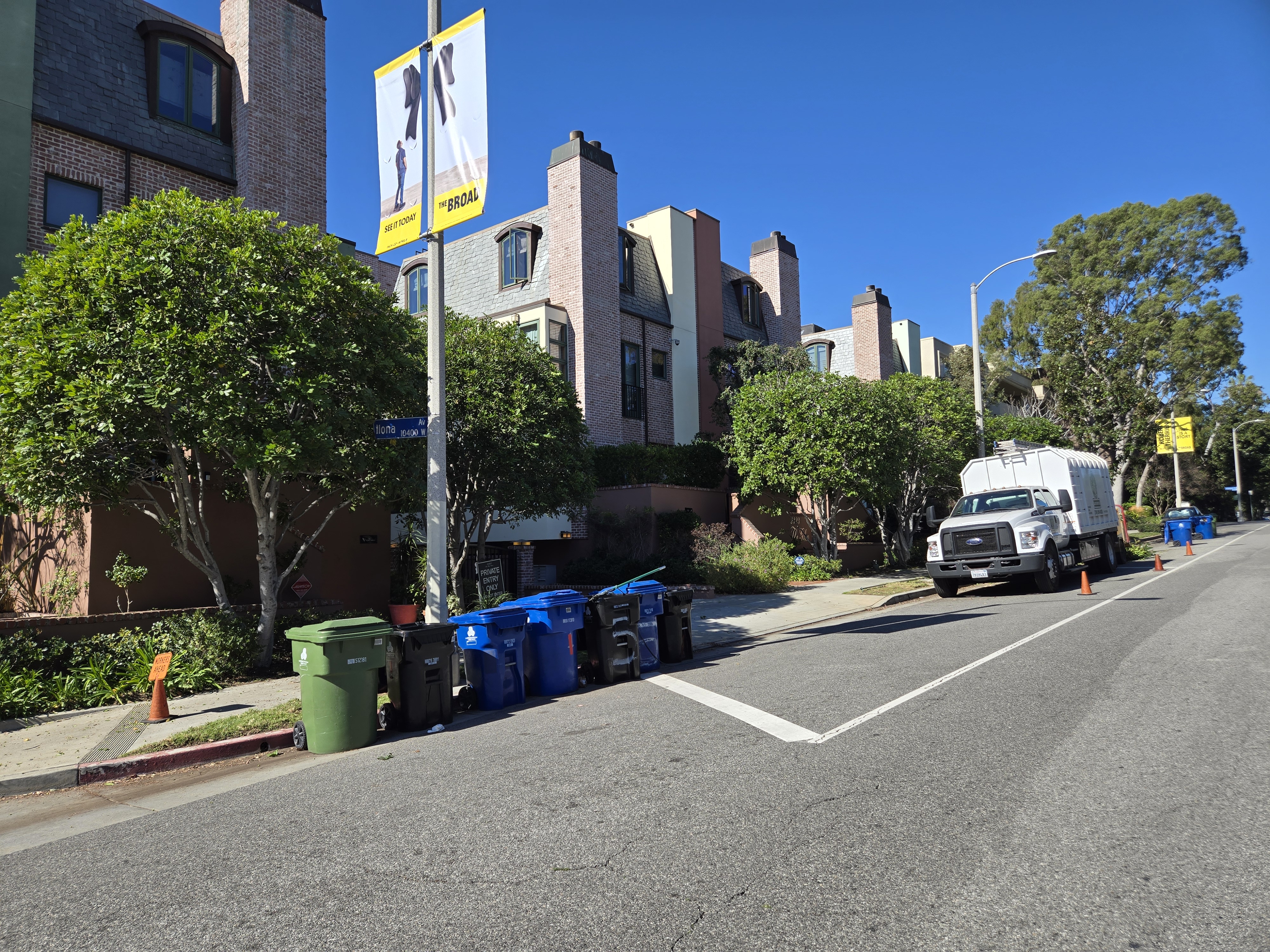 Back to the under canopy